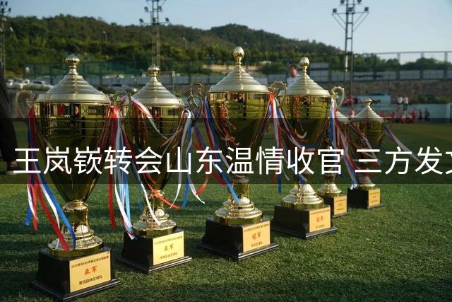 王岚嵚转会山东温情收官 三方发文展现职业体坛温度